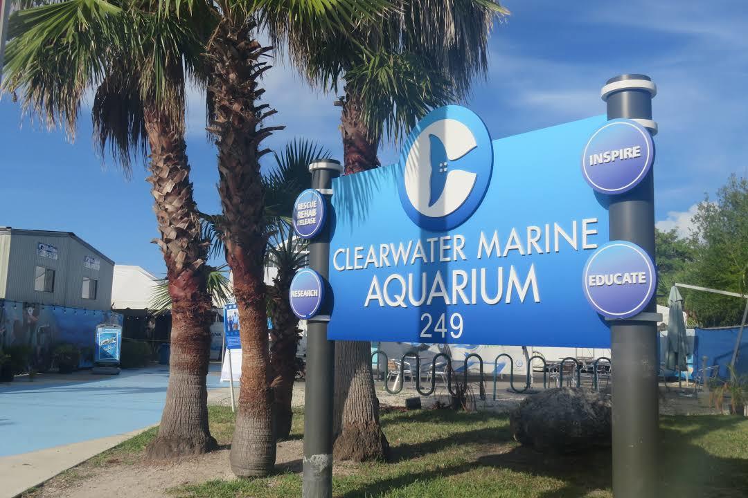 Zeeaquarium Clearwater
